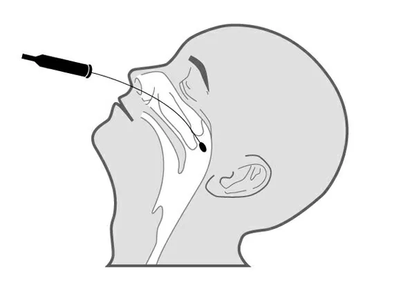 Apa Itu Swab Test