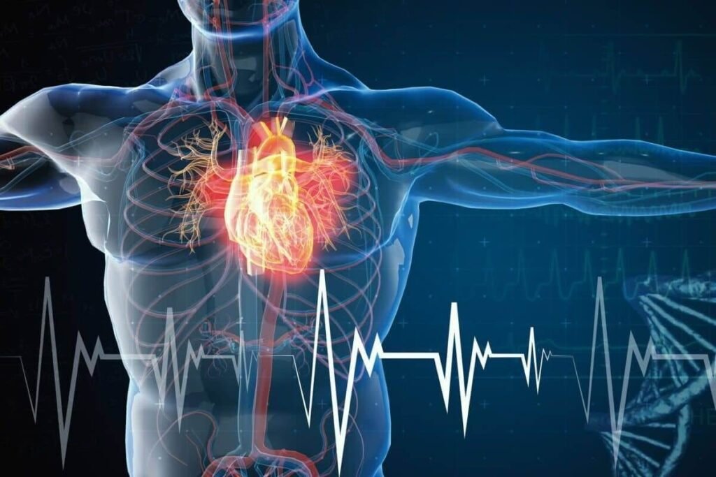 Cara memelihara kesehatan organ jantung secara alami