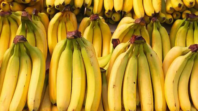 Kandungan Gizi Dalam Pisang