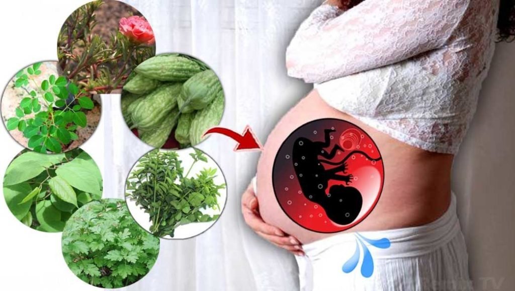 Sayur Yang Bagus Untuk Ibu Hamil