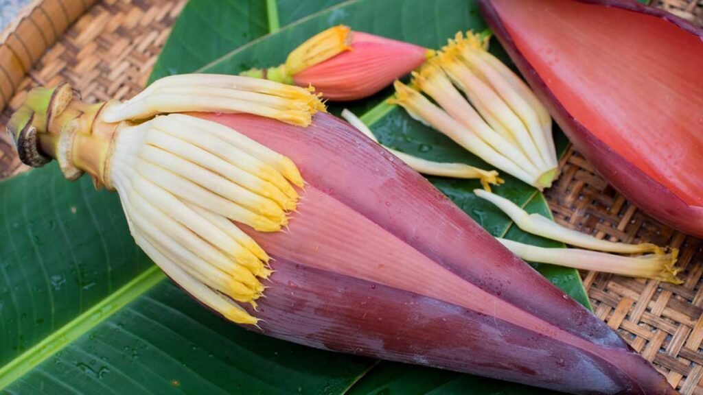 Manfaat Jantung Pisang Untuk Kesehatan Tubuh