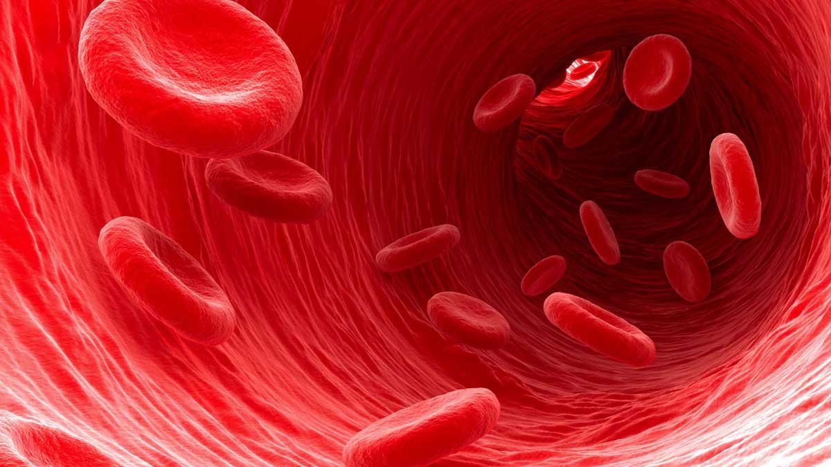 Tauge bantu cegah anemia