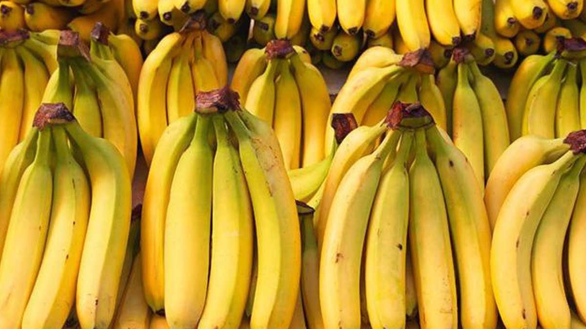 Obat Diare Untuk Anak Yang Alami