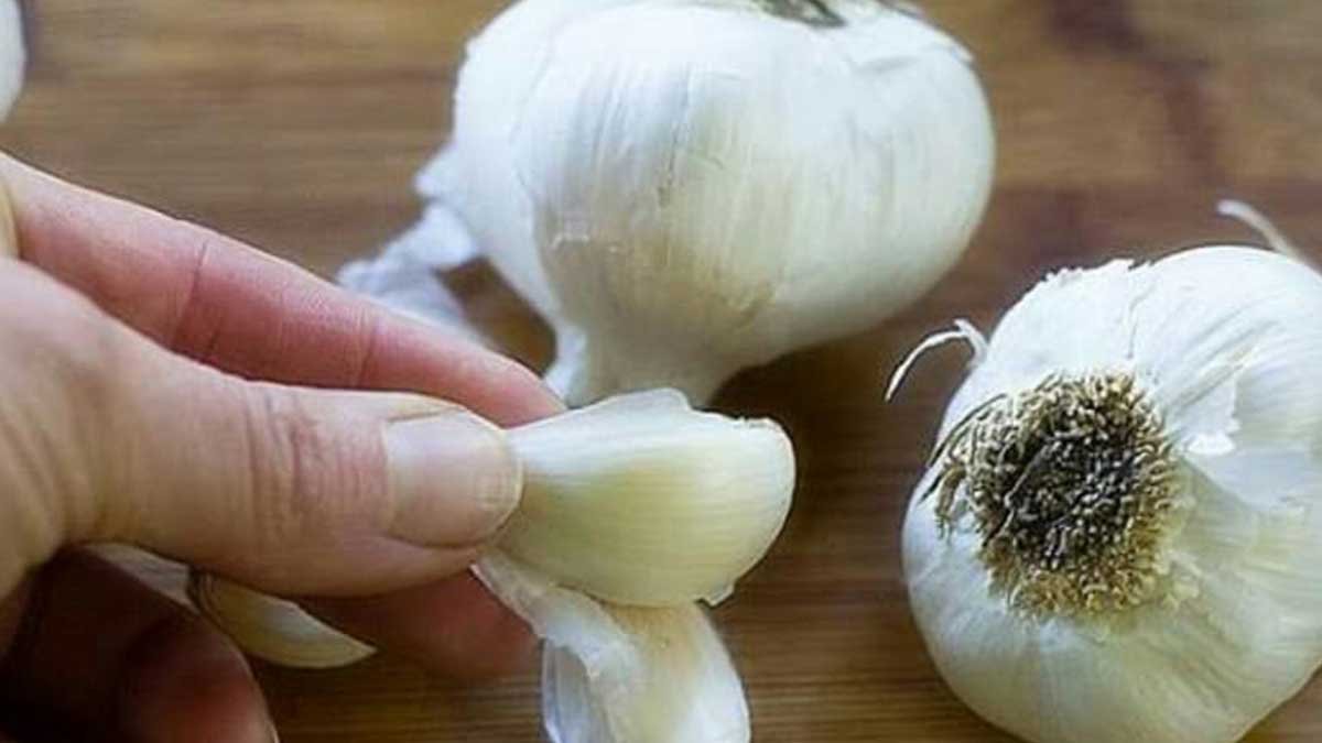 mengatasi kutil dengan bawang putih