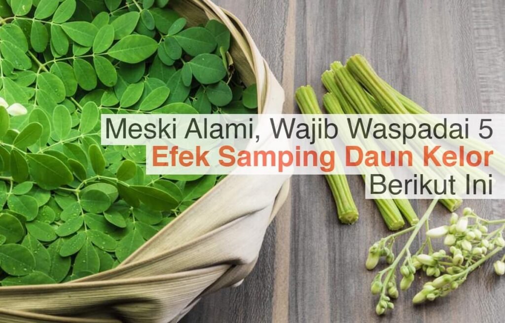 Efek Samping Daun Kelor