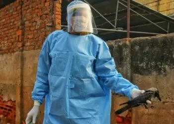 Virus Flu Burung di India