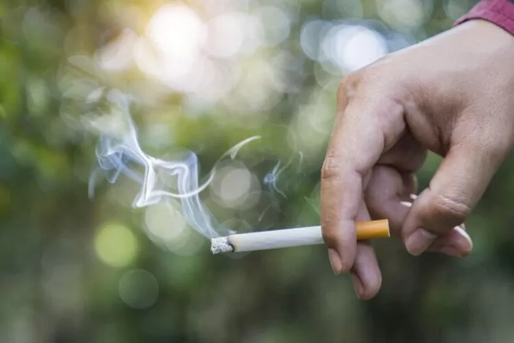 Bahaya rokok bagi kesehatan organ tubuh