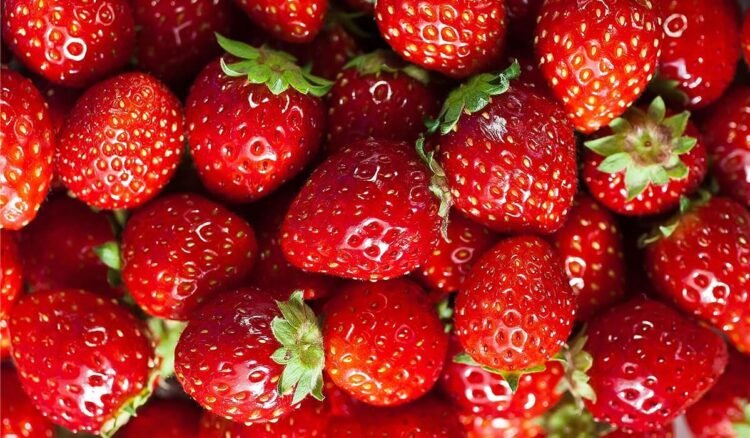 Manfaat Dan Dampak Berbahaya Buah Strawberry Untuk Kesehatan