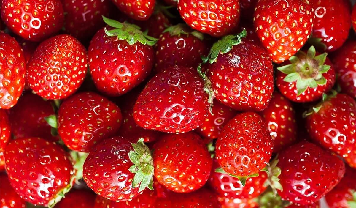 Manfaat dan Dampak Berbahaya Buah Strawberry untuk Kesehatan